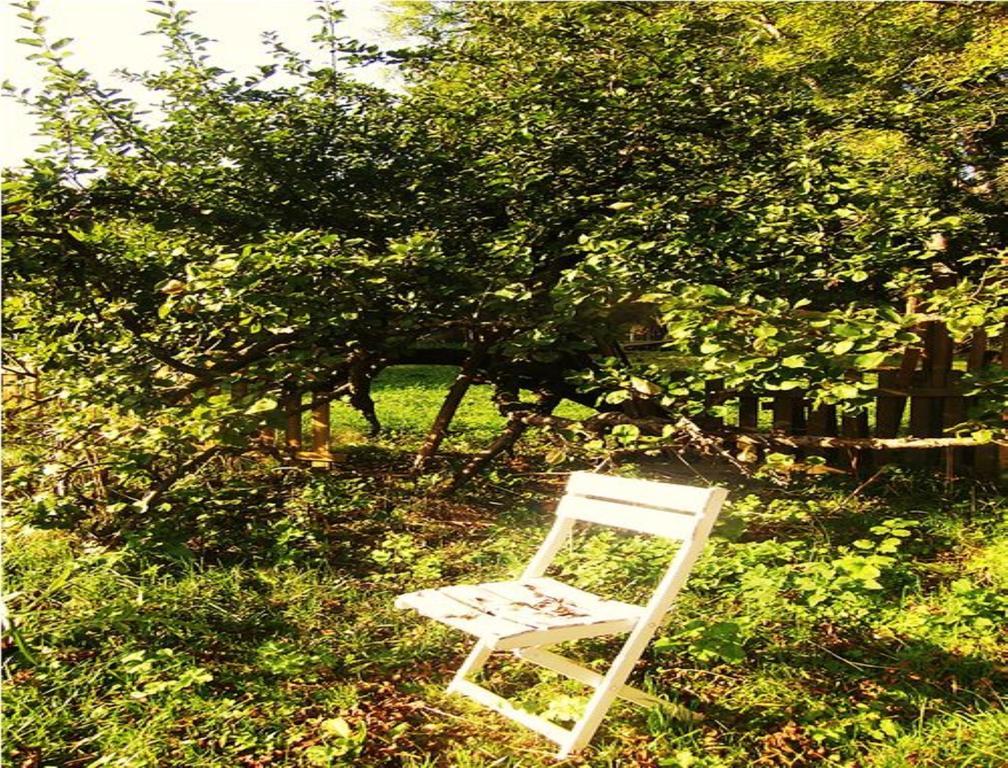Le Moulin Fleuri Du Petit Appeville Ngoại thất bức ảnh
