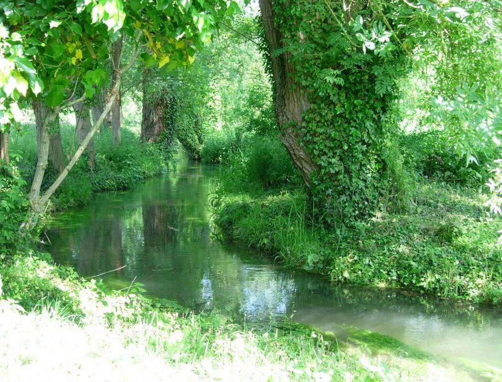 Le Moulin Fleuri Du Petit Appeville Ngoại thất bức ảnh